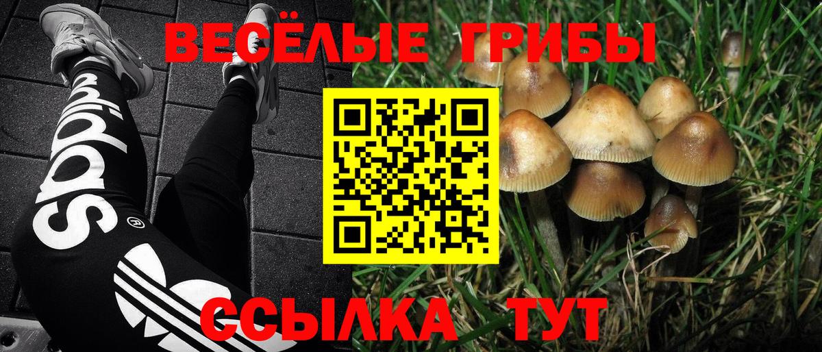 Луховицы  Псилоцибиновые грибы мицелий  Вход с VPN  Галлюциногенные грибы мухоморы 